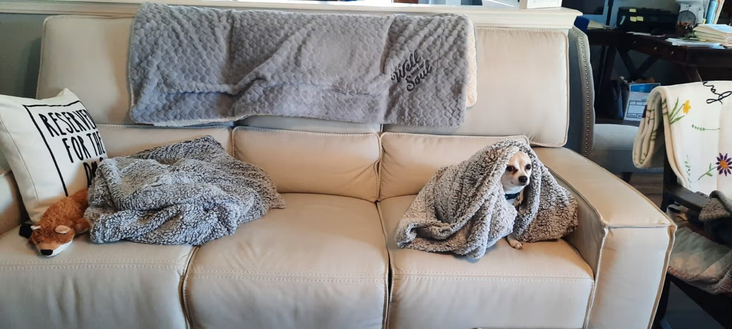 Pet Blanket