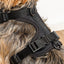 Cushioned Dog Harness
