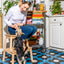 Cushioned Dog Harness