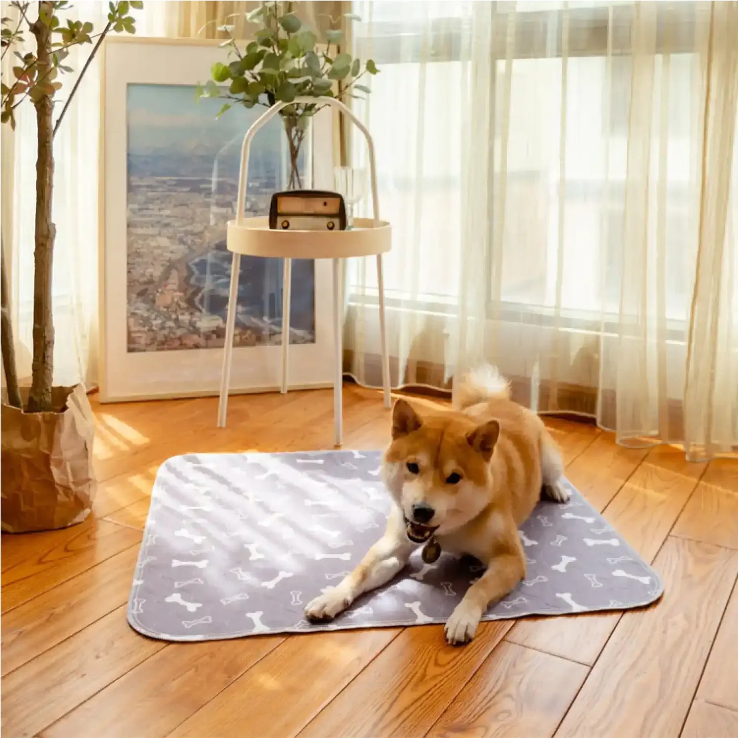 Ultra-Absorbent Dog Training Pads, Leak-Proof 5-Layer Quilted Puppy Pee Pads with Quick-Dry Surface & Odor Neutralizer, Standard Size