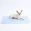 Lumipetia Cooling Mat - Clouds Grey