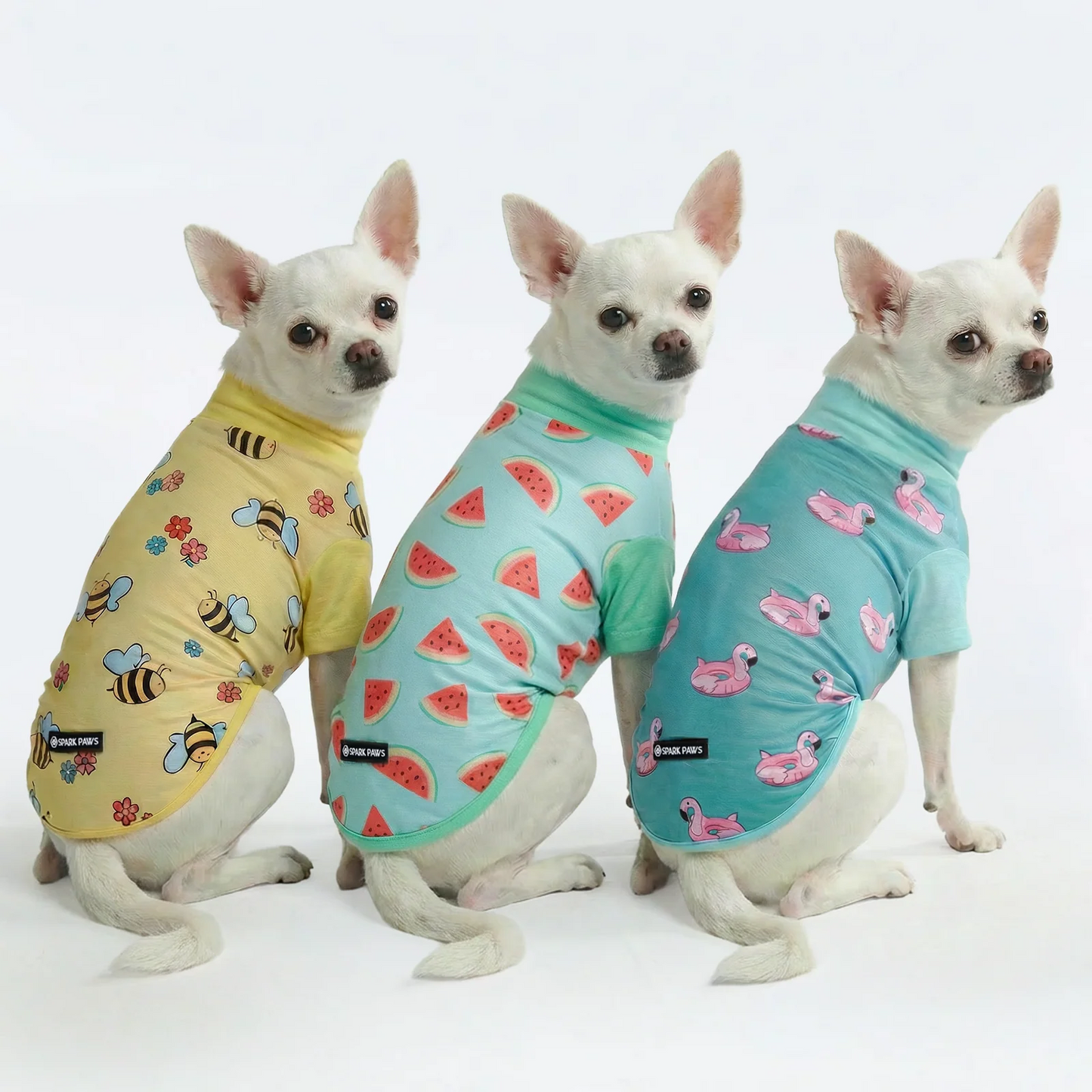 Lumipetia T-Shirt-3 Pack