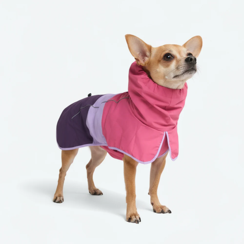 Lumipetia Dog Raincoats