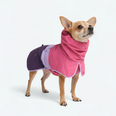 Lumipetia Dog Raincoats