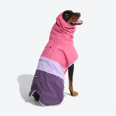 Lumipetia Dog Raincoats