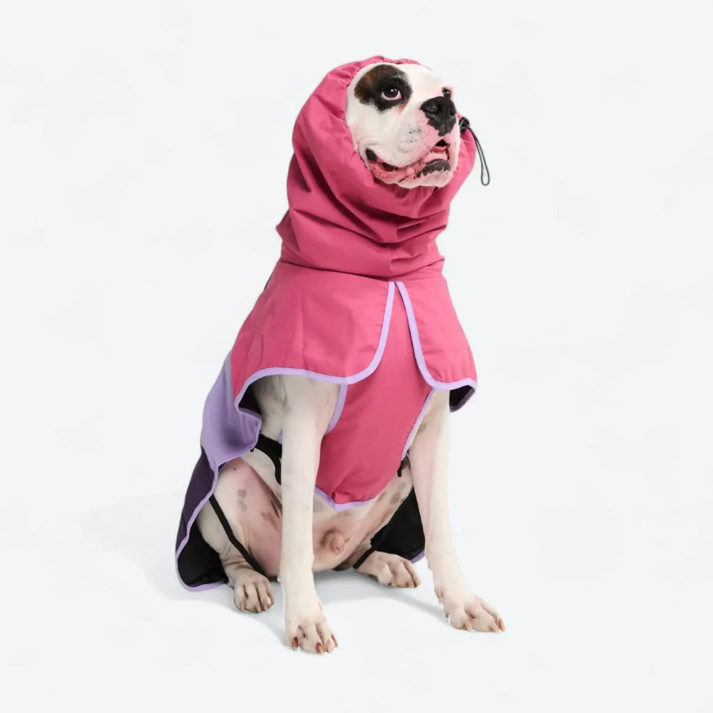 Lumipetia Dog Raincoats