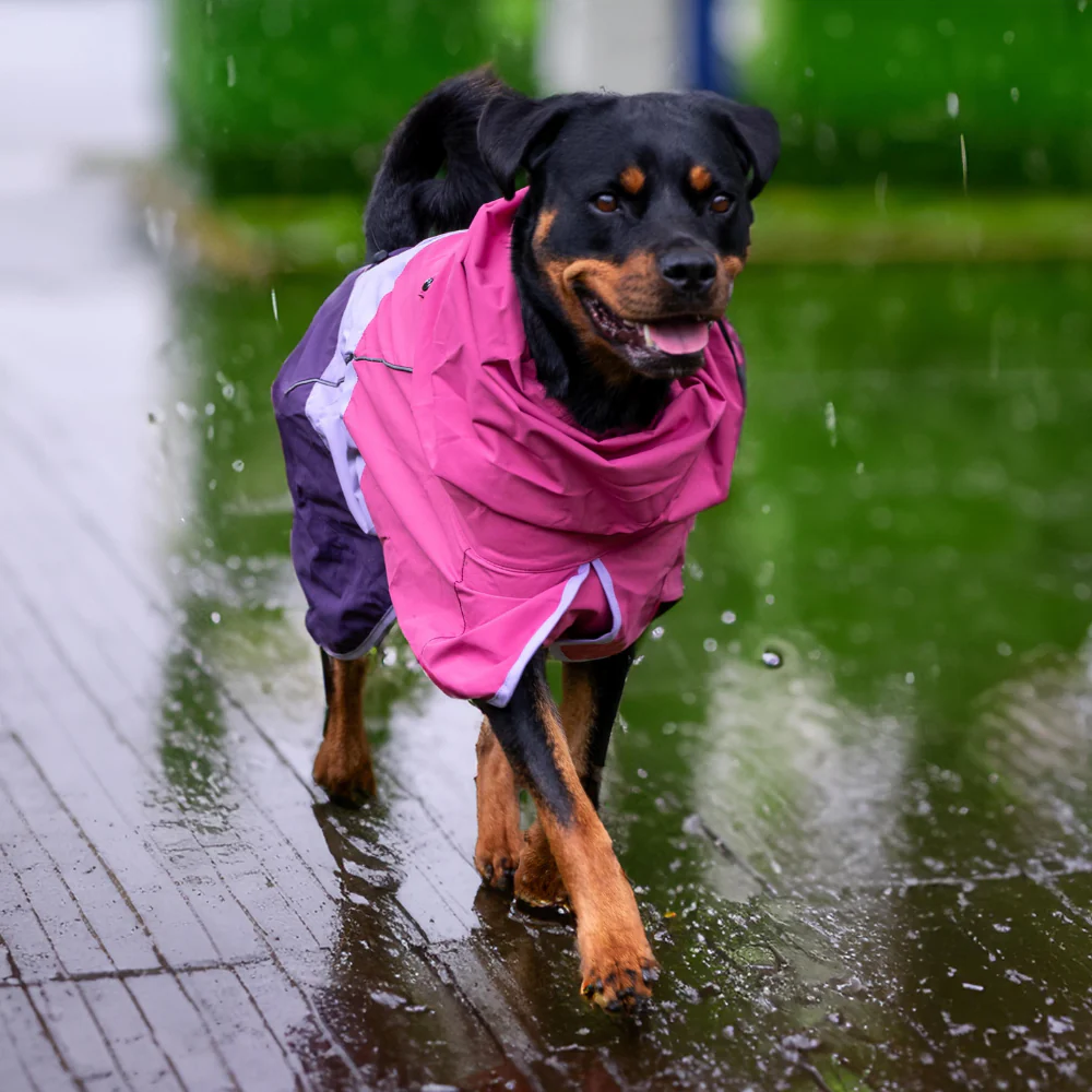 Lumipetia Dog Raincoats