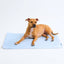 Lumipetia Cooling Mat - Clouds Grey