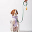 Cushioned Harness +Waterproof Leash Walk Kit